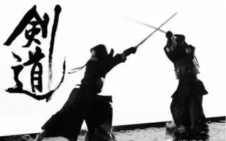 傳統(tǒng)武術(shù)保命，我們更專業(yè)