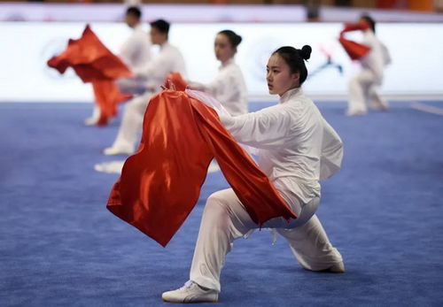 傳承與創(chuàng)新 全國政協(xié)委員樊慶斌呼吁加強優(yōu)秀武術(shù)運動員可持續(xù)培養(yǎng)