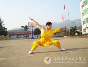 武術(shù)拍照姿勢指南 經(jīng)典而不凡之姿